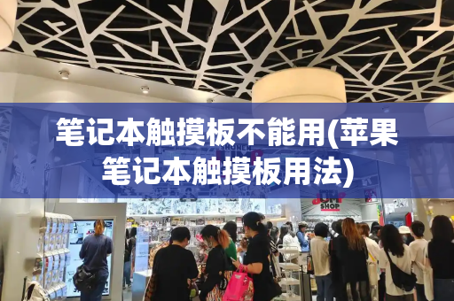 笔记本触摸板不能用(苹果笔记本触摸板用法)-第1张图片-星选测评
