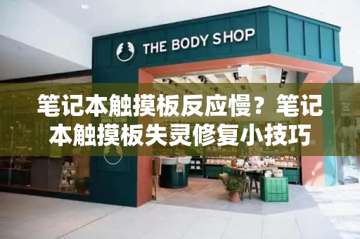 笔记本触摸板反应慢？笔记本触摸板失灵修复小技巧-第1张图片-星选测评