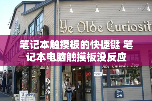 笔记本触摸板的快捷键 笔记本电脑触摸板没反应