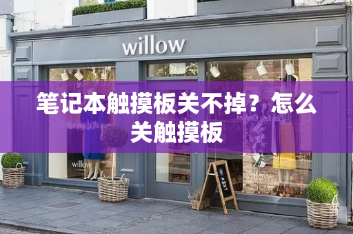 笔记本触摸板关不掉？怎么关触摸板-第1张图片-星选测评