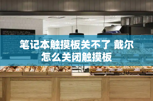 笔记本触摸板关不了 戴尔怎么关闭触摸板-第1张图片-星选测评
