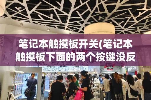 笔记本触摸板开关(笔记本触摸板下面的两个按键没反应)-第1张图片-星选测评