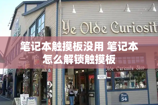 笔记本触摸板没用 笔记本怎么解锁触摸板