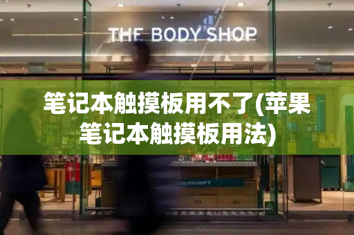 笔记本触摸板用不了(苹果笔记本触摸板用法)