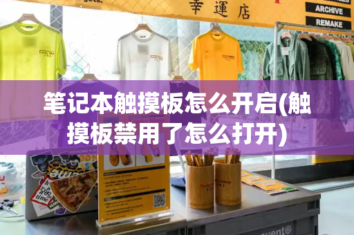 笔记本触摸板怎么开启(触摸板禁用了怎么打开)-第1张图片-星选测评