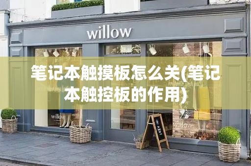 笔记本触摸板怎么关(笔记本触控板的作用)