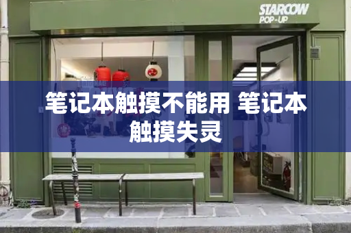 笔记本触摸不能用 笔记本触摸失灵-第1张图片-星选测评