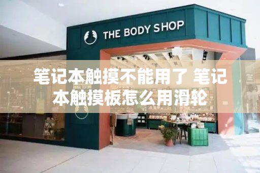 笔记本触摸不能用了 笔记本触摸板怎么用滑轮