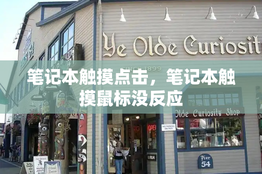 笔记本触摸点击，笔记本触摸鼠标没反应