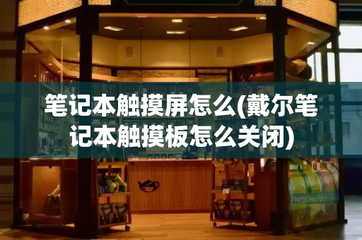 笔记本触摸屏怎么(戴尔笔记本触摸板怎么关闭)-第1张图片-星选测评