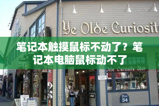 笔记本触摸鼠标不动了？笔记本电脑鼠标动不了