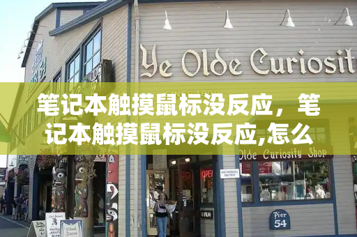 笔记本触摸鼠标没反应，笔记本触摸鼠标没反应,怎么调回来
