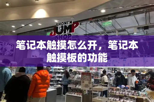 笔记本触摸怎么开，笔记本触摸板的功能