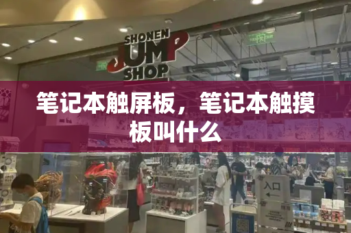 笔记本触屏板，笔记本触摸板叫什么
