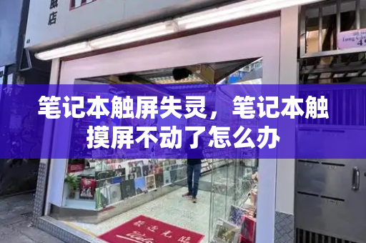 笔记本触屏失灵，笔记本触摸屏不动了怎么办