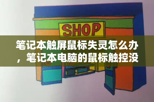 笔记本触屏鼠标失灵怎么办，笔记本电脑的鼠标触控没反应