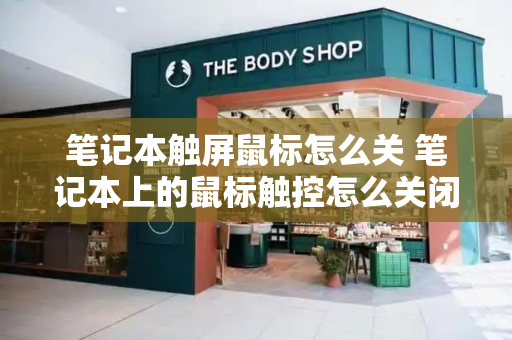 笔记本触屏鼠标怎么关 笔记本上的鼠标触控怎么关闭