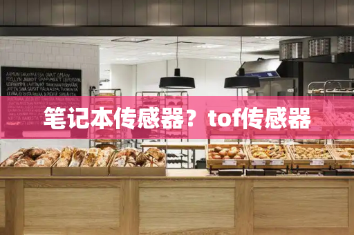 笔记本传感器？tof传感器-第1张图片-星选测评