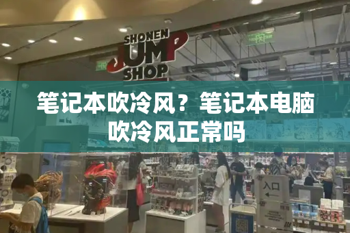 笔记本吹冷风？笔记本电脑吹冷风正常吗-第1张图片-星选测评