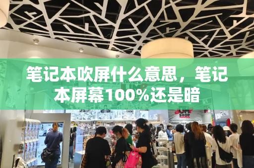 笔记本吹屏什么意思，笔记本屏幕100%还是暗-第1张图片-星选测评