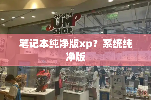 笔记本纯净版xp？系统纯净版