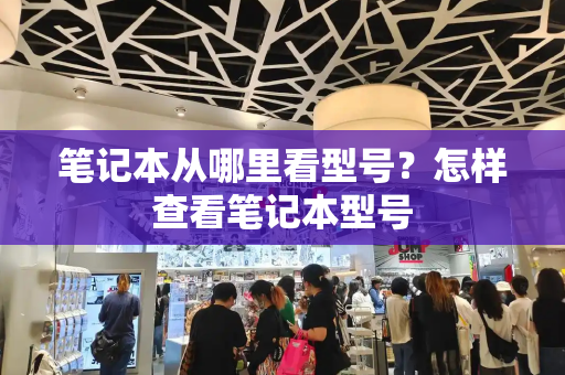 笔记本从哪里看型号？怎样查看笔记本型号-第1张图片-星选测评
