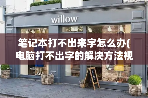 笔记本打不出来字怎么办(电脑打不出字的解决方法视频)-第1张图片-星选测评