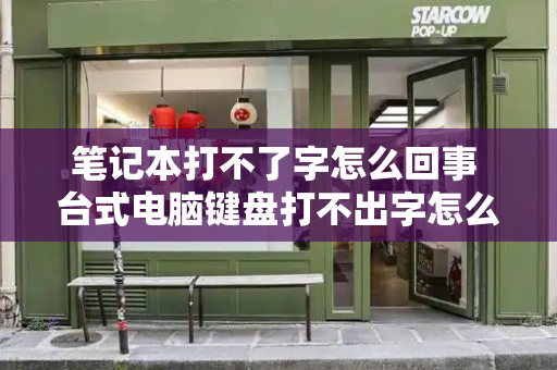笔记本打不了字怎么回事 台式电脑键盘打不出字怎么回事-第1张图片-星选测评