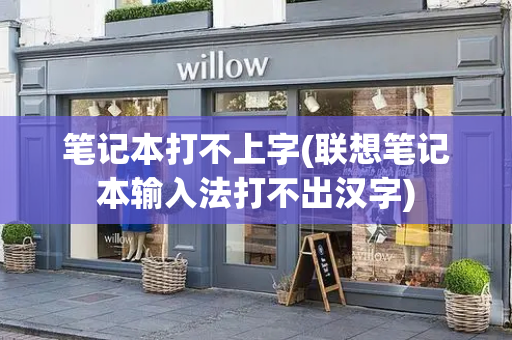 笔记本打不上字(联想笔记本输入法打不出汉字)