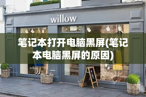 笔记本打开电脑黑屏(笔记本电脑黑屏的原因)