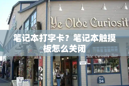 笔记本打字卡？笔记本触摸板怎么关闭