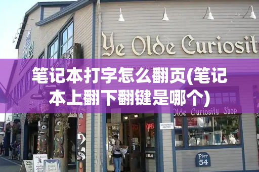 笔记本打字怎么翻页(笔记本上翻下翻键是哪个)-第1张图片-星选测评