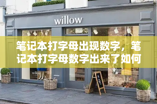笔记本打字母出现数字，笔记本打字母数字出来了如何切换