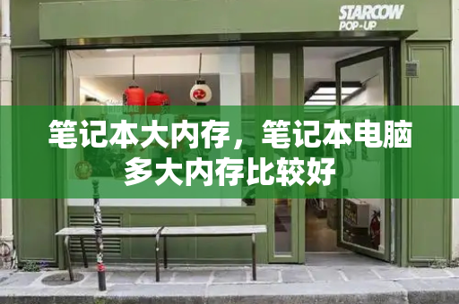 笔记本大内存，笔记本电脑多大内存比较好-第1张图片-星选测评