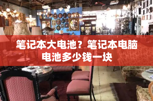 笔记本大电池？笔记本电脑电池多少钱一块-第1张图片-星选测评
