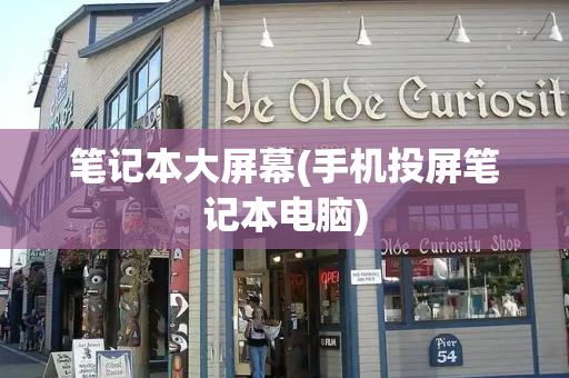 笔记本大屏幕(手机投屏笔记本电脑)