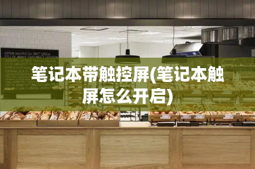 笔记本带触控屏(笔记本触屏怎么开启)-第1张图片-星选测评