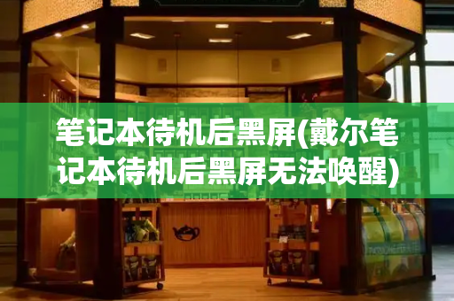 笔记本待机后黑屏(戴尔笔记本待机后黑屏无法唤醒)-第1张图片-星选测评