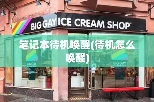 笔记本待机唤醒(待机怎么唤醒)-第1张图片-星选测评