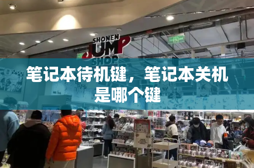 笔记本待机键，笔记本关机是哪个键-第1张图片-星选测评