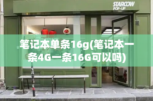 笔记本单条16g(笔记本一条4G一条16G可以吗)
