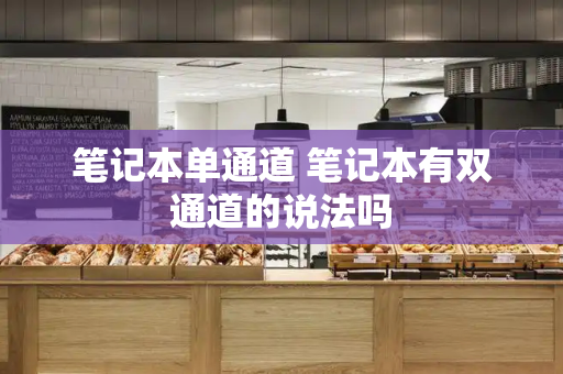 笔记本单通道 笔记本有双通道的说法吗-第1张图片-星选测评