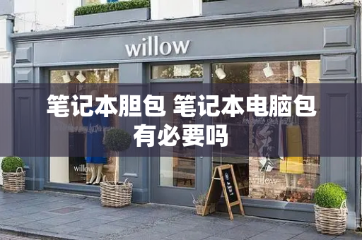 笔记本胆包 笔记本电脑包有必要吗