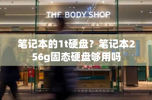 笔记本的1t硬盘？笔记本256g固态硬盘够用吗