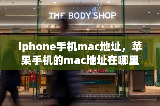 iphone手机mac地址，苹果手机的mac地址在哪里-第1张图片-星选测评