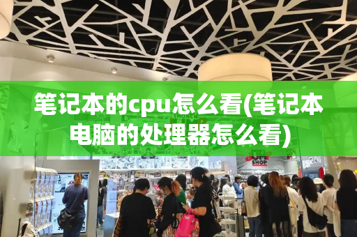 笔记本的cpu怎么看(笔记本电脑的处理器怎么看)