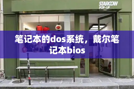 笔记本的dos系统，戴尔笔记本bios-第1张图片-星选测评