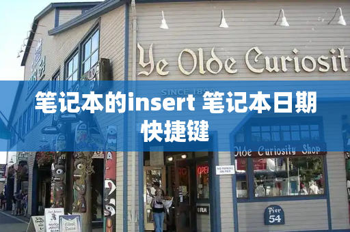 笔记本的insert 笔记本日期快捷键-第1张图片-星选测评