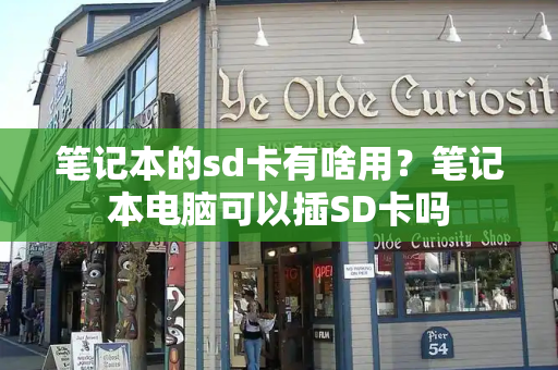 笔记本的sd卡有啥用？笔记本电脑可以插SD卡吗-第1张图片-星选测评