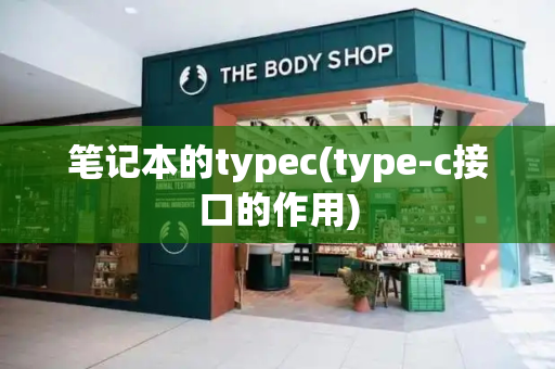 笔记本的typec(type-c接口的作用)